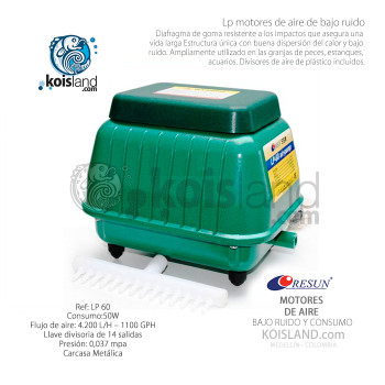 Motor de Aire LP100 RESUN