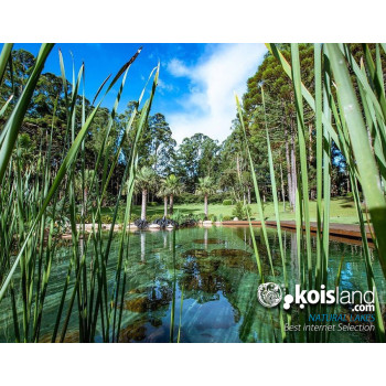 Koisland natural lakes