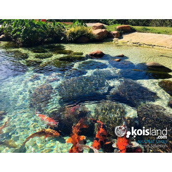 Koisland natural lakes