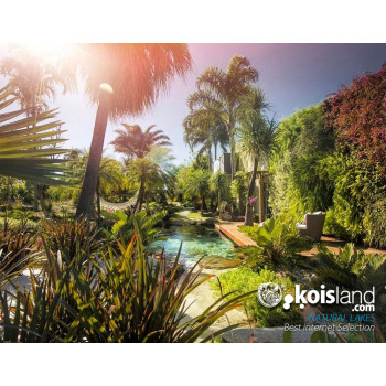 Koisland natural lakes