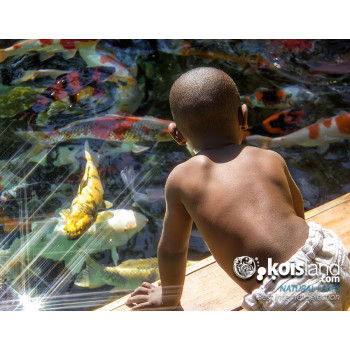 Koisland natural lakes
