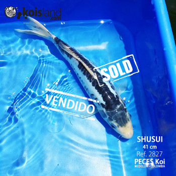 REF.2827 - Shusui REF.2827 - Shusui