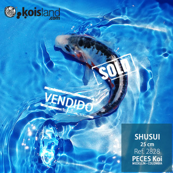 REF.2828 - Shusui