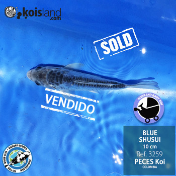 REF.3259 - BLUE SHUSUI 10cm