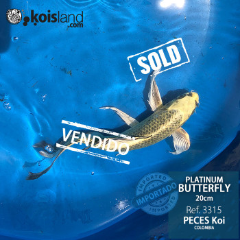 REF.3315 - Platinum Butterfly 20cm REF.3315 - Platinum Butterfly 20cm