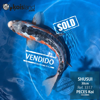 REF.3317 - Shusui 30cm