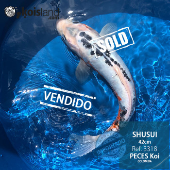 REF.3318 - Shusui 42cm