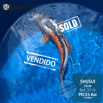 REF.3319 - Shusui 32cm