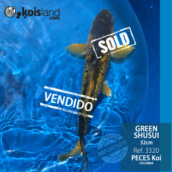 REF.3320 - Green Shusui 32cm REF.3320 - Green Shusui 32cm