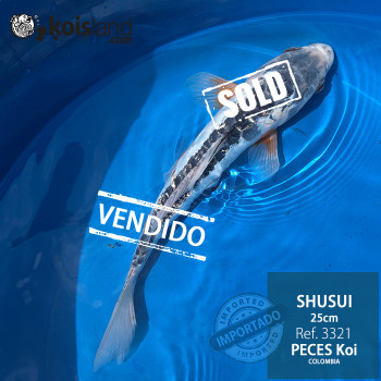 REF.3321 - Shusui 25cm