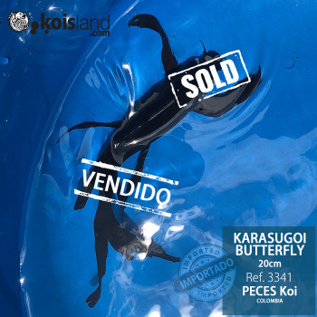 REF.3341 - Karasugoi Butterfly 20cm