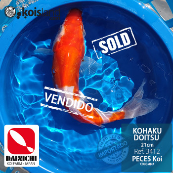 REF.3412 - Kohaku Doitsu 21cm